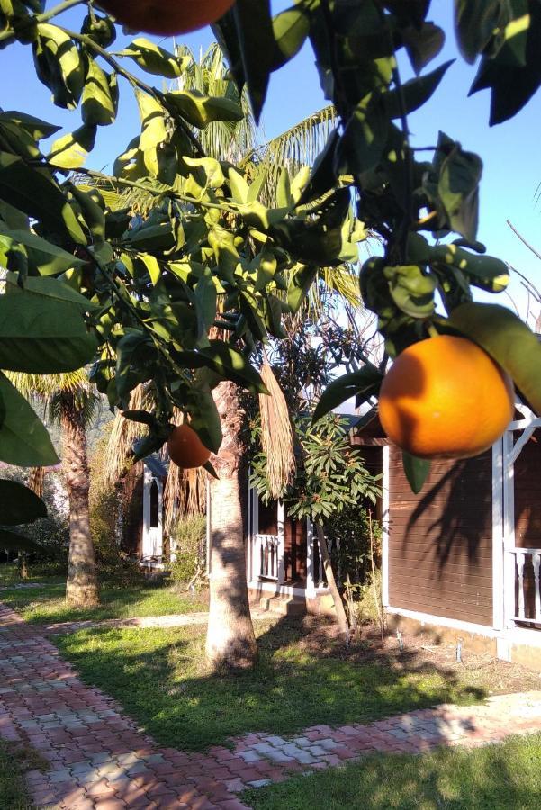 Çıralı Kervan Pansiyon מראה חיצוני תמונה